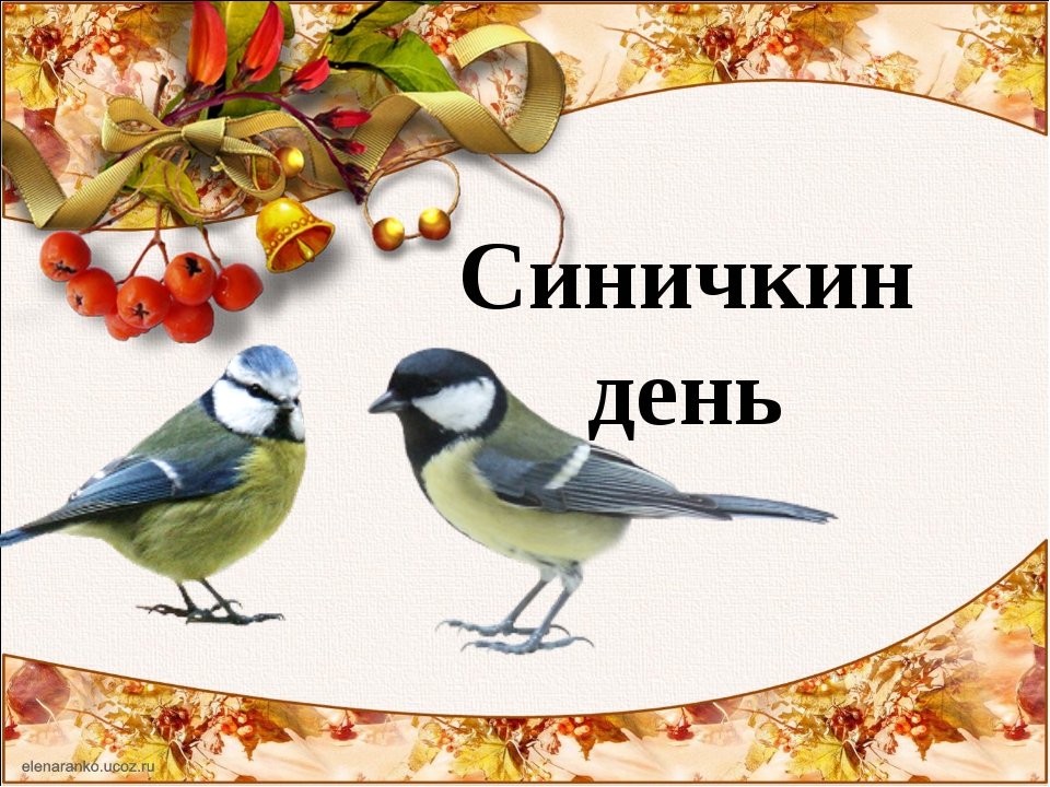 12 ноября – народный праздник «Синичкин день» 12 ноября – народный праздник «Синичкин день»